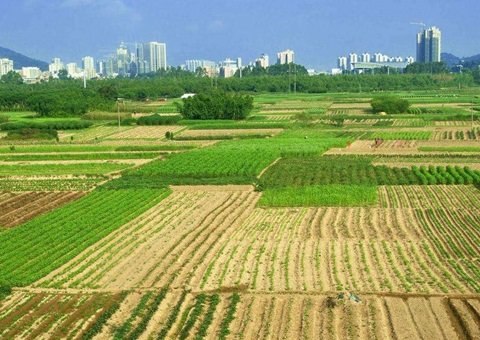 湖北省处理闲置土地17.81万亩&nbsp;&nbsp;收回面积居天下第一