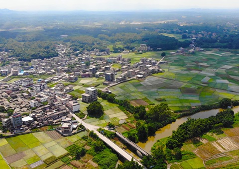 广西：：：农地入市&nbsp;&nbsp;收益共享<br>自然资源部分增强政策指导和手艺服务