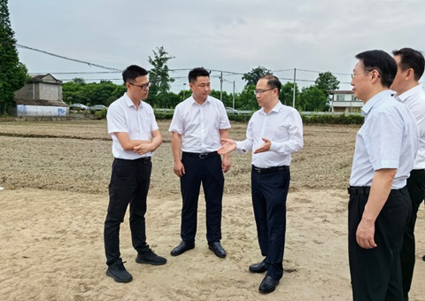 胡云赴眉山调研耕地；な褂煤透弑曜寂┨锝ㄉ枋虑