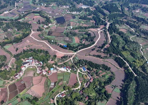 内江市东兴区局周全做好耕地保； 全力做好用地包管