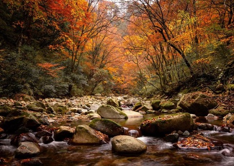 巴中光雾山—诺水河天下地质公园加入中国天下地质公园开展20周年岁念活动