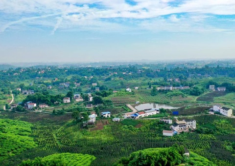 2024年度四川省重点区域自然资源统一确权挂号项目启动