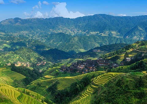 一次性200万元！！&nbsp;广西在天下率先实验林权挂号财务资金激励