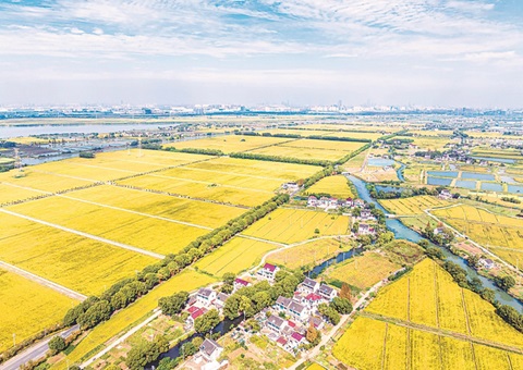 江苏省周全实验用地用林合并审批