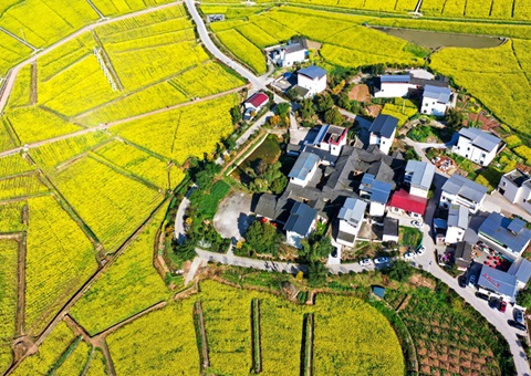 205.7亿元！&nbsp;&nbsp;四川财务下达2025年衔接推进墟落振兴津贴资金