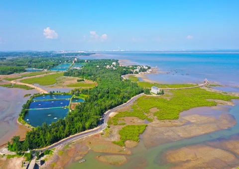 广西北部湾畔：：：墟落妄想引领古渔村“蝶变”