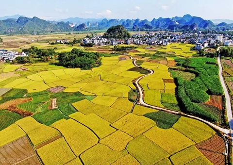 强化“指挥棒”作用&nbsp;&nbsp;柳州市发放500万元耕地；；ぁ凹だ彀