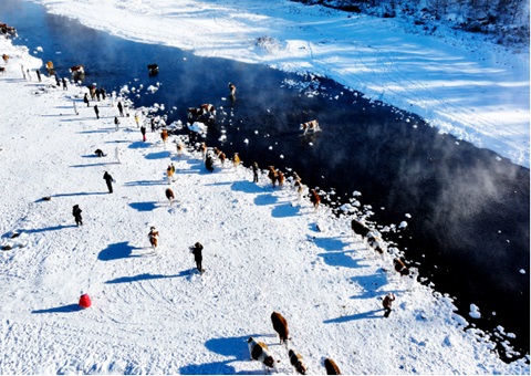 内蒙古“中国冷极”地理标记正式完工&nbsp;&nbsp;精准测绘赋能北疆生态清静与特色开展
