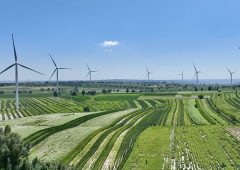 陕西省榆林市定边县：：领土空间妄想“一张图”实现营业“一站式”高效办理