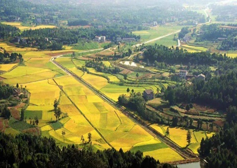 四川省广元市经开区多措并举盘活系统闲置土地为开展注入新动能