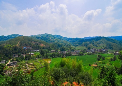 江西省赣州市石城县：：：紧扣“三提三用”事情主线 铸造自然资源铁军