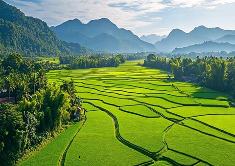 “自然资源+税务”协同共治！崇左筑牢耕地；；び胨笆铡八老摺