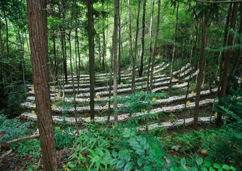 江西森林可持续谋划：：：开创生态美工业兴黎民富协同开展新时势