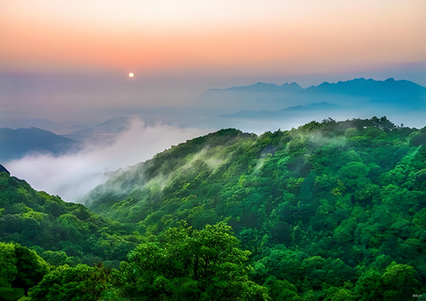 福建森林提质四放肆措打造黎民“幸？？？可健