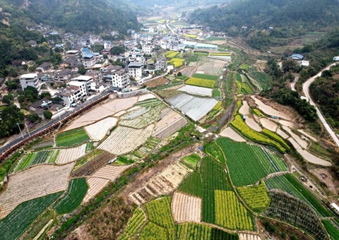 从闲置荒地到工业热土！晋江3入市项目挂牌成交