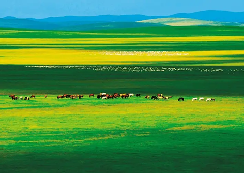 内蒙古：绘就绿色开展画卷守护北疆绿水青山