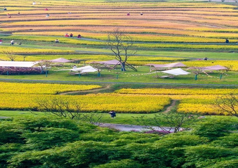 四川省成都会龙泉驿区局“三化”事情法提升妄想土地核实效能