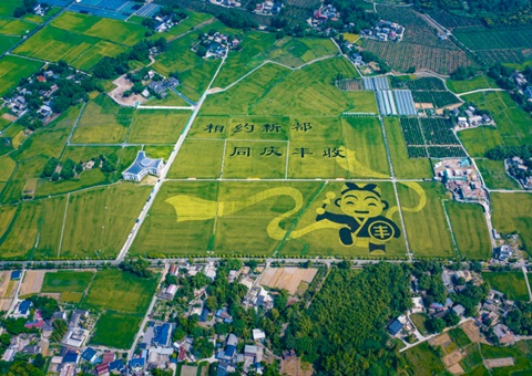 成都宣布耕地；；；ね！！！未来10年这样筑牢“天府粮仓”基本