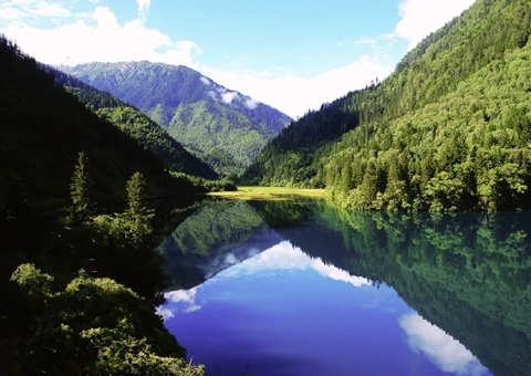 预计2025年底，，，四川省“林粮”产量1500万吨、产值1800亿元