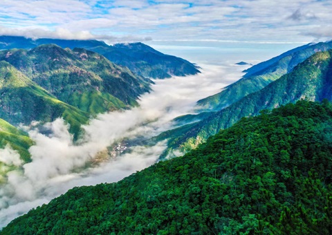 “组合包”，，，流通生态产品价值转化