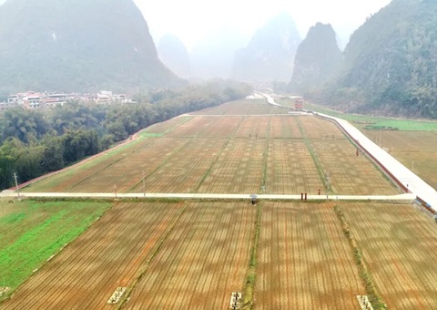 广西首批300万元全域土地综合整治奖励性津贴兑现   推动“依效奖补、以评促建”落地