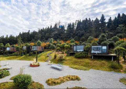 天下典范案例+1！！重庆探索“四方共治”实现生态修复与增收共赢