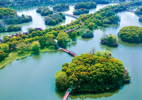 江西省湿地；；；ぢ室汛61.99%