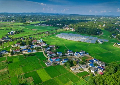 湖南：：靶向发力盘活存量土地资产<br>为206家机关企事业单位定制处理方案，，，盘活土地2.6万亩