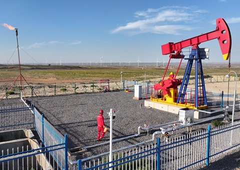 宁夏纵深推进新一轮找矿突破战略行动，实验一批煤层气、页岩气、煤炭等勘查项目