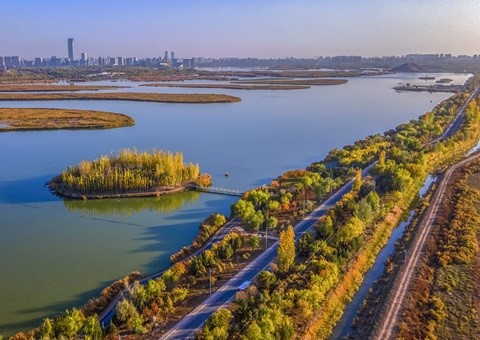 宁夏首次宣布全域生态资源本底视察报告