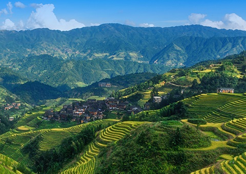 津贴200万元！！！广西实验林权挂号财务资金激励