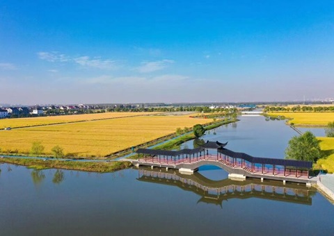 粮田变良田&nbsp;&nbsp;江苏建成高标准农田面积4401万亩