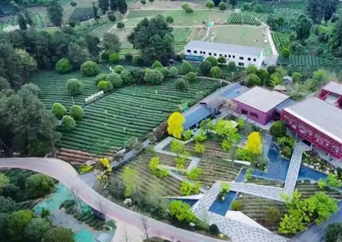 林间“种”出科创空间：：：四川蒲江用生态颜值撬动经济价值