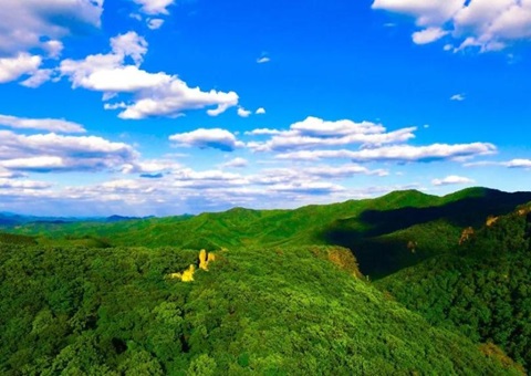 辽宁：林草领域获80亿元信贷支持