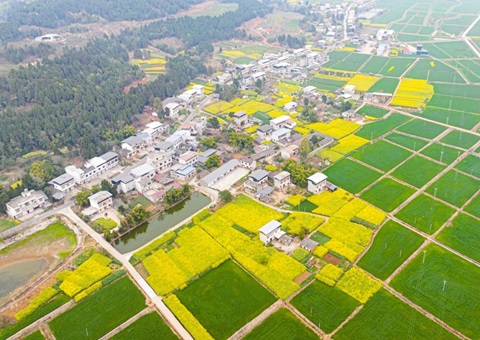 四川省委办公厅、、省政府办公厅印发《关于深化农村土地要素市场化刷新的意见》