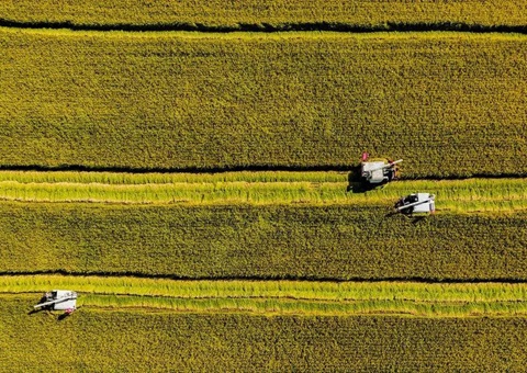 辽宁省耕地地力掩护津贴标准出台