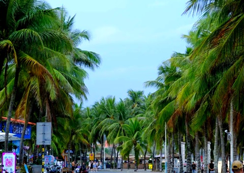 建“清凉城市”，，，海南有何“凉方”?