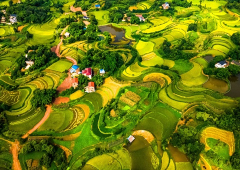 @农民朋侪 2025年重庆市耕地地力；；；そ蛱桨咐戳