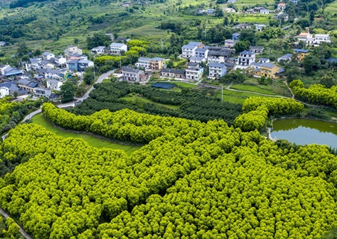 重庆墟落休闲旅游形成点线面立体式开展&nbsp;&nbsp;建设天下休闲农业重点县8个、中国漂亮休闲墟落90个