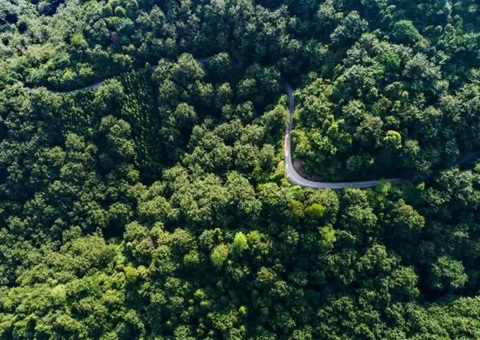 湖南省首例！！靖州“国有建设用地+VEP”自然资源资产组合项目实现生意