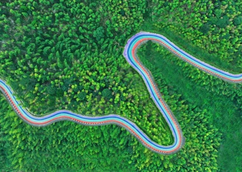 组合供应出新招，，竹海收益节节高——桃江县“桃花江竹！！！弊匀蛔试醋什楹瞎┯ν贫芳壑凳迪职咐