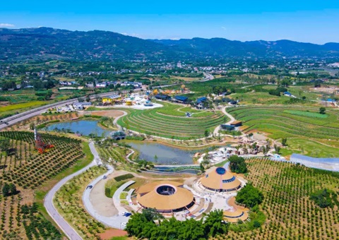 四川金堂：从“卖产品”到“卖风物”！！墟落妄想铺路让橘香飘出新滋味