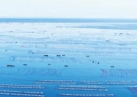 辽宁周全清查海洋资源资产实物量、、、价值量、、、使用权——摸清海洋“家底儿”