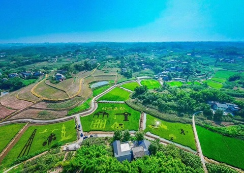 护航墟落开展！！自贡市出台墟落振兴用地指南